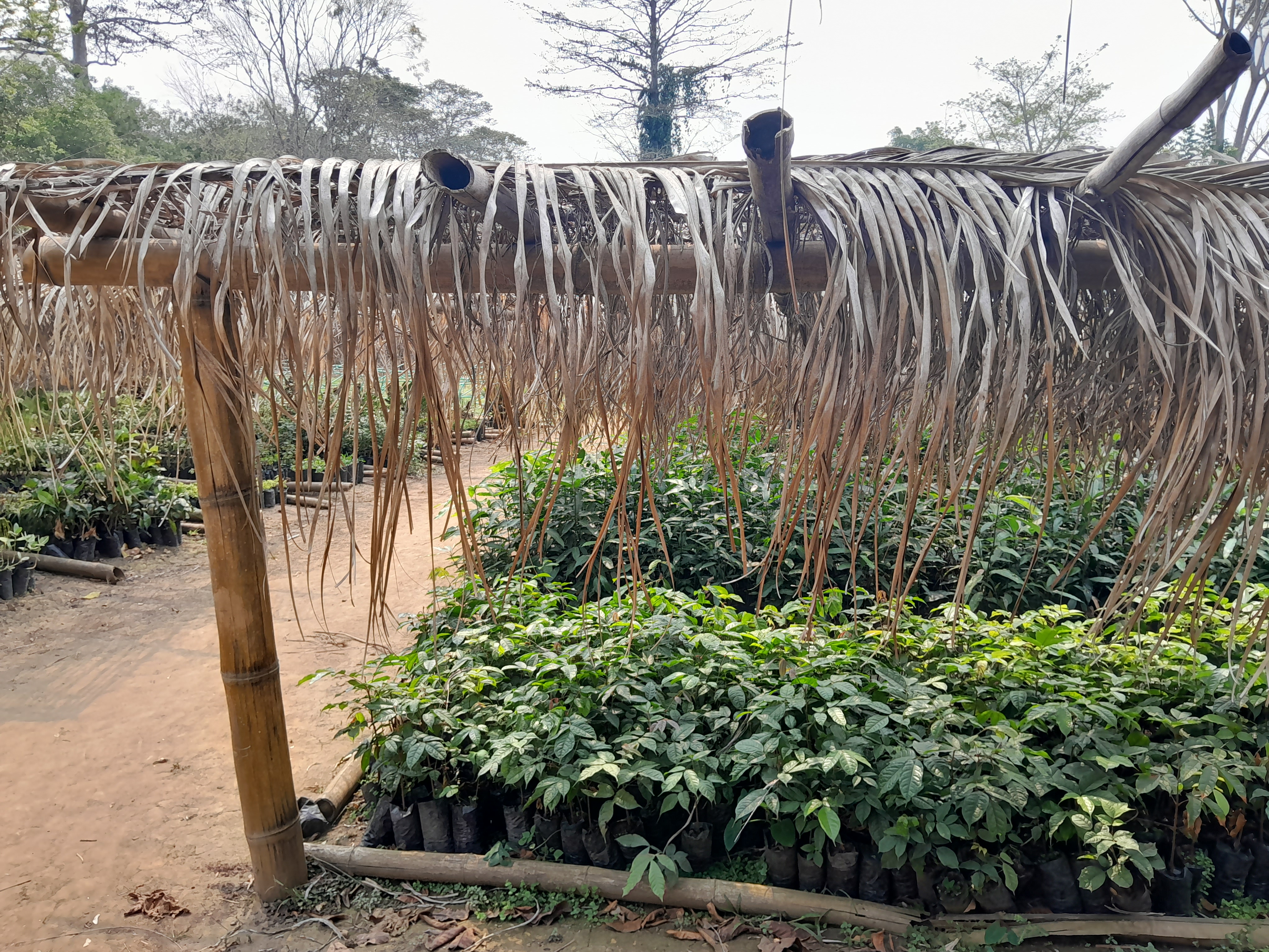 Image of clean energy and jobs